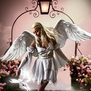 Meet your Posher, Karla